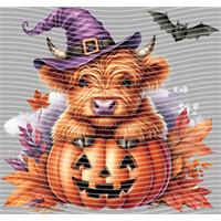 Halloween-WS 5783